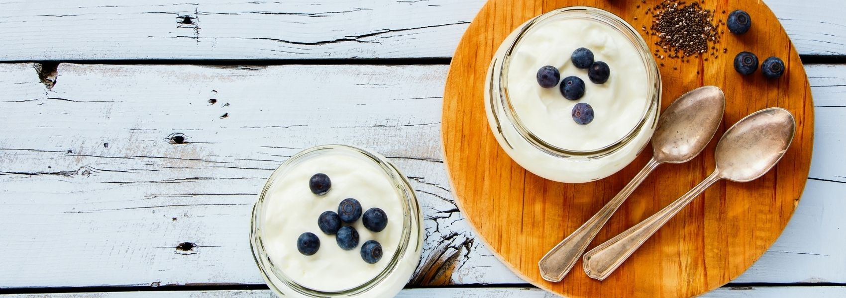 alimentos fermentados