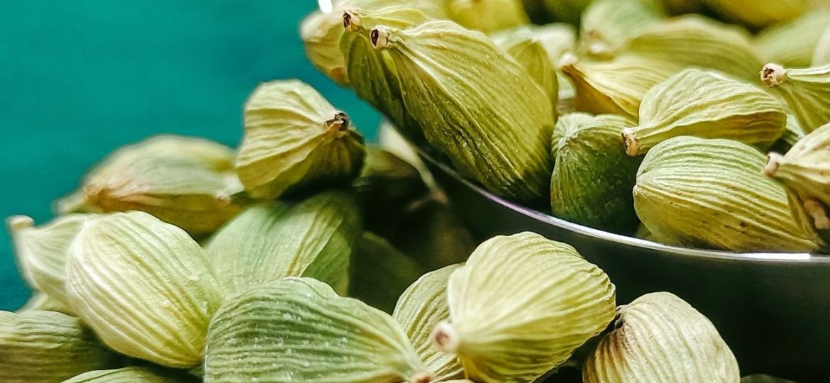 cardamomo