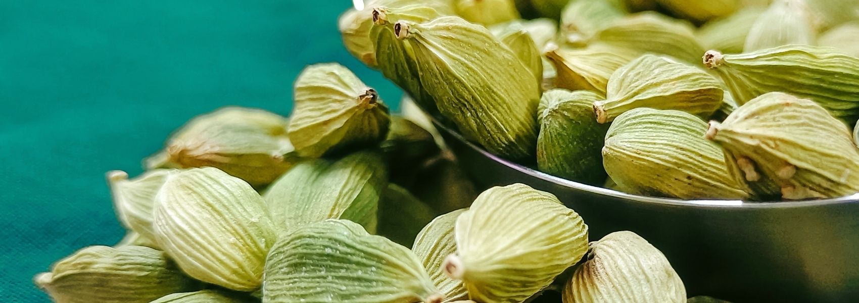 cardamomo