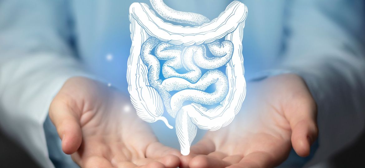 saúde intestinal