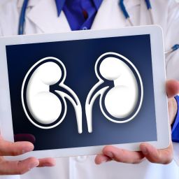 doença renal crónica nas mulheres