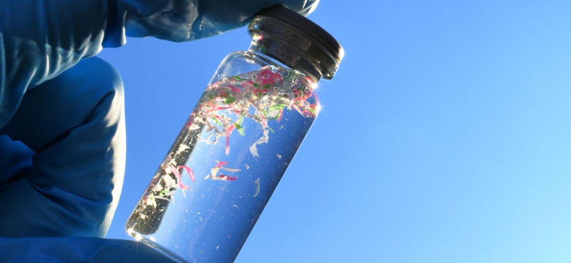microplástico nos alimentos