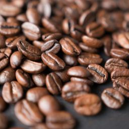 cafeína e antibióticos