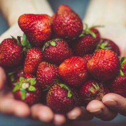 alimentação saudável
