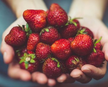 alimentação saudável