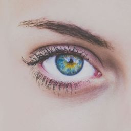 exame à retina
