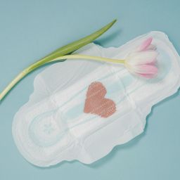 idade da primeira menstruação