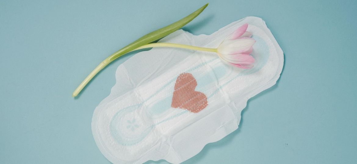 idade da primeira menstruação
