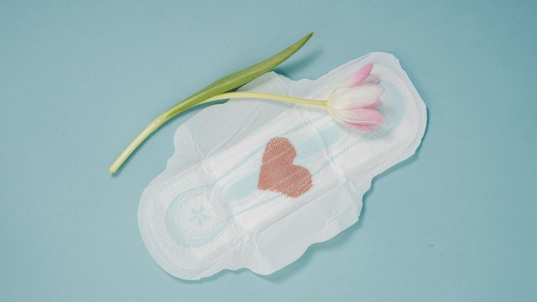 idade da primeira menstruação