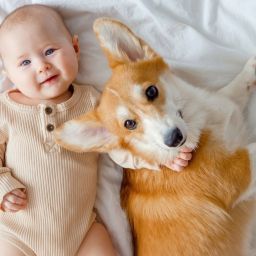 cães e bebés