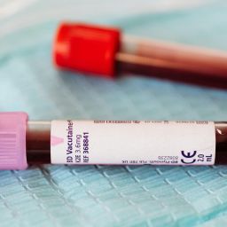 diagnosticar o cancro