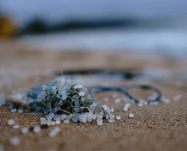 microplásticos na alimentação