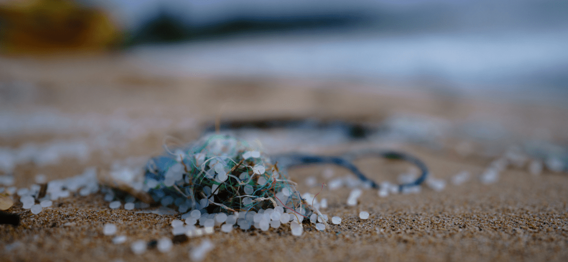 microplásticos na alimentação