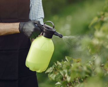 legislação sobre pesticidas