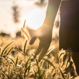 benefícios do mindfulness