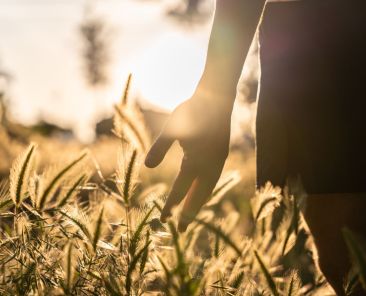 benefícios do mindfulness