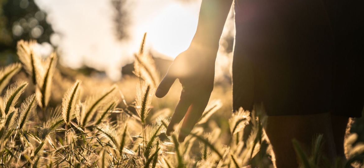 benefícios do mindfulness