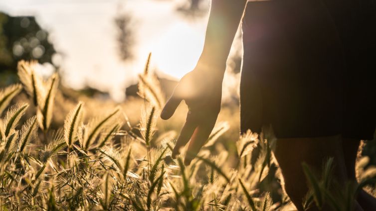 benefícios do mindfulness