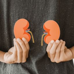 doença renal