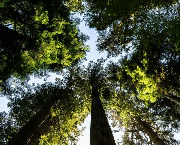 alegações de biodiversidade