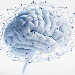 cérebro e epilepsia