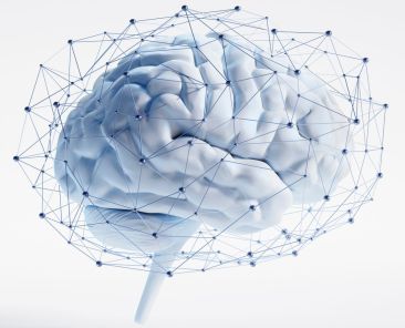 cérebro e epilepsia