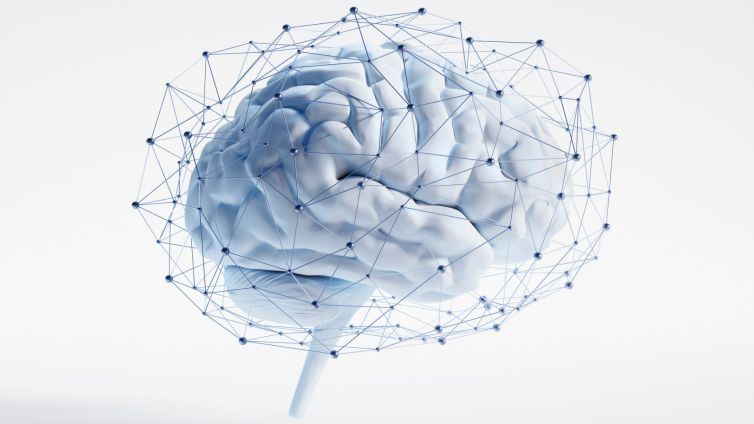 cérebro e epilepsia