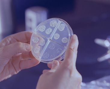 novo teste para diagnosticar tuberculose