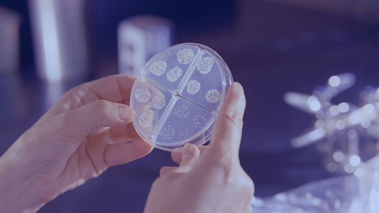 novo teste para diagnosticar tuberculose