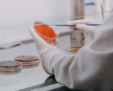 pastilha elástica contra o HPV
