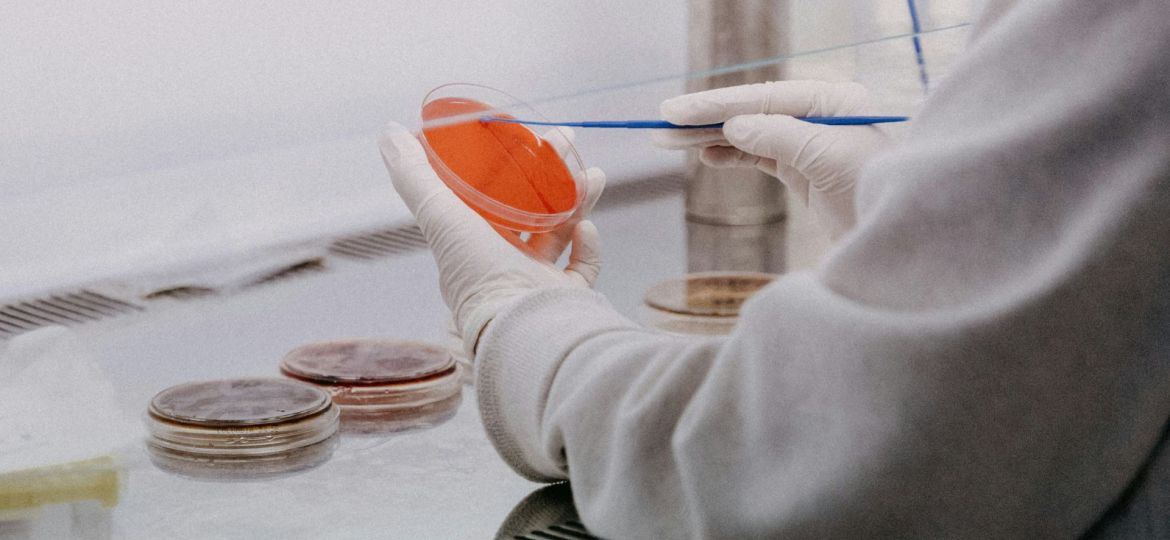 pastilha elástica contra o HPV