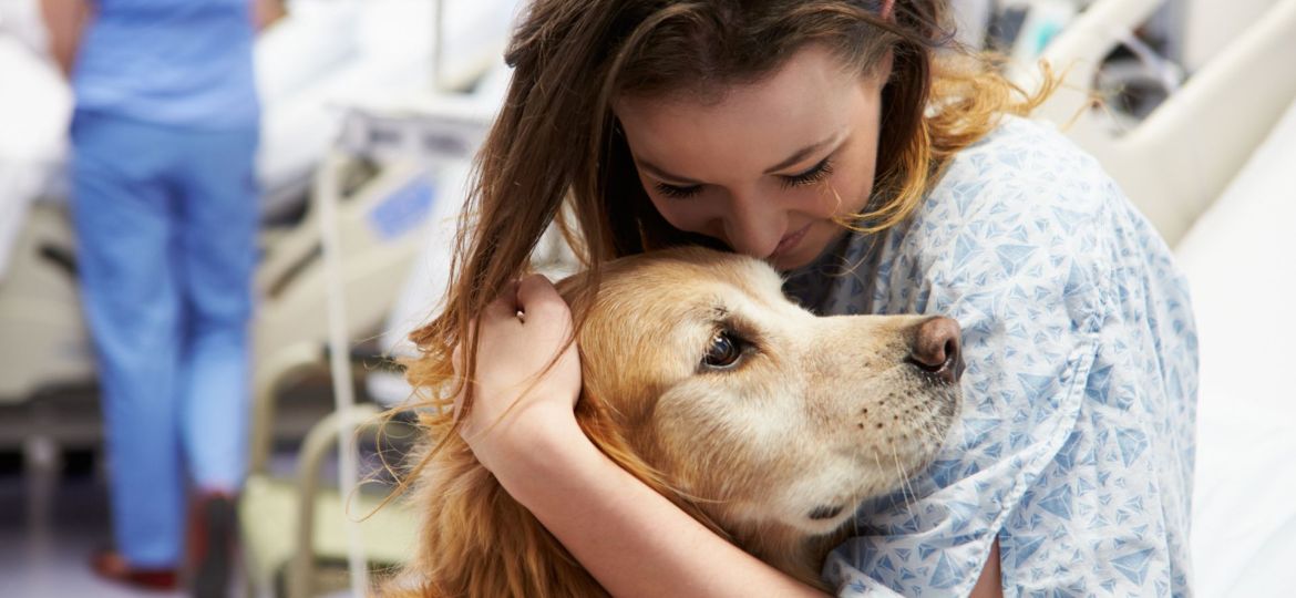 animais na reabilitação do AVC
