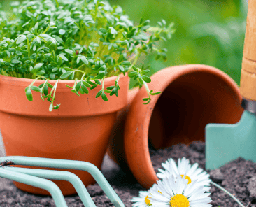 jardinagem proteger da diabetes tipo 2