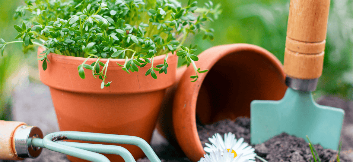jardinagem proteger da diabetes tipo 2