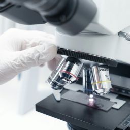encontro de biotecnologia