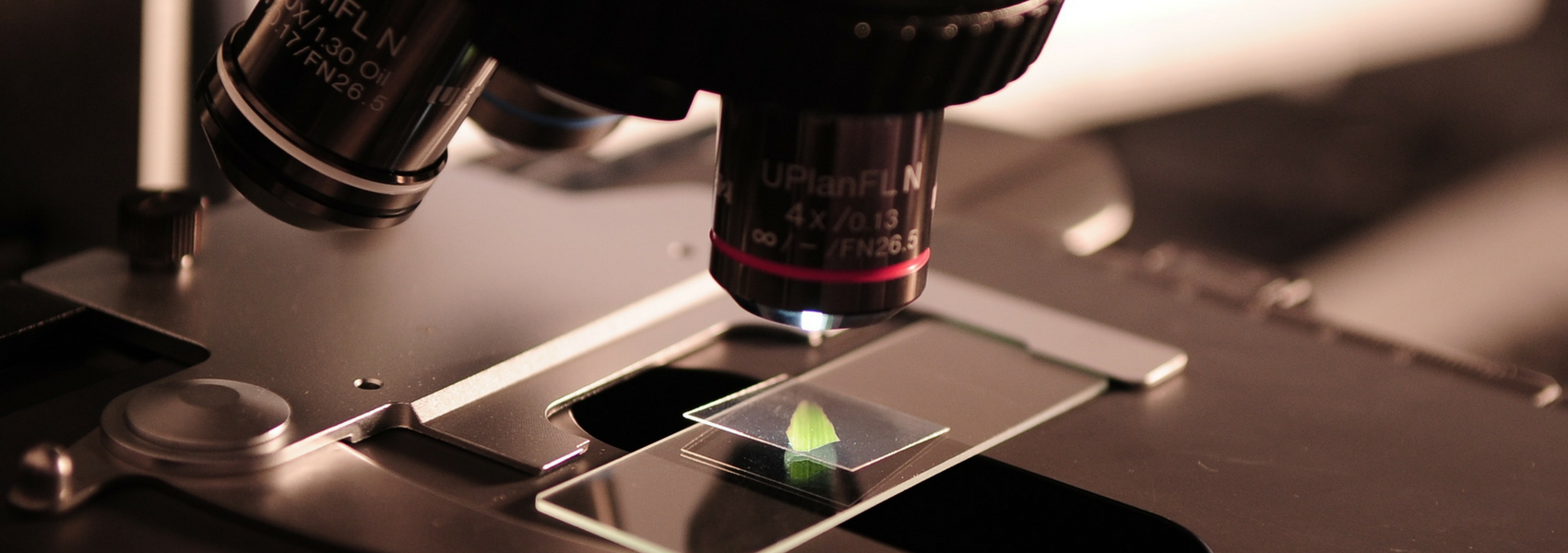 Já foi escolhido o vencedor do Prémio ‘FAZ Ciência’