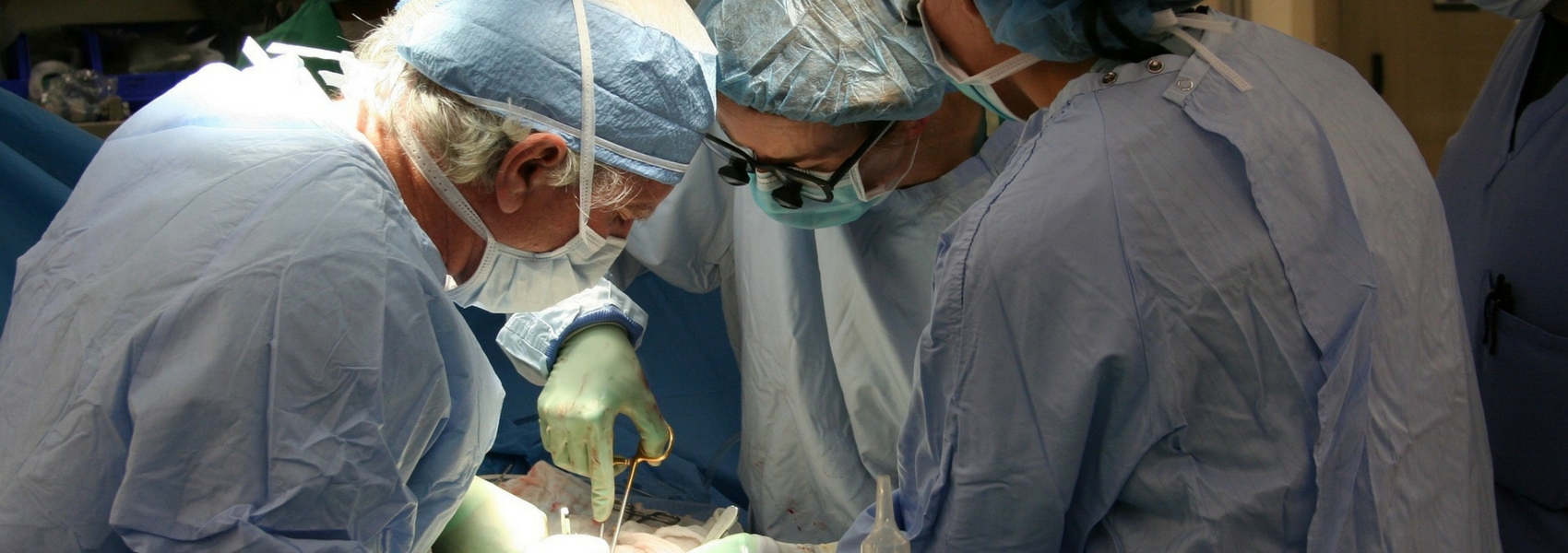 Portugal é o segundo no mundo com mais órgãos de dadores falecidos