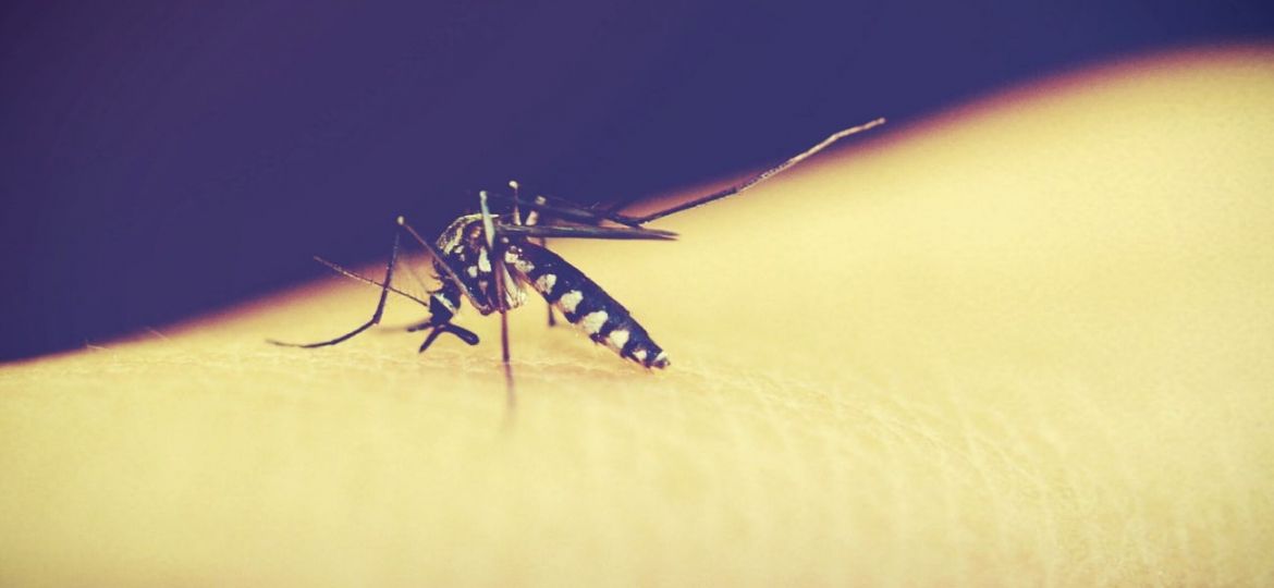 inquérito sobre malária