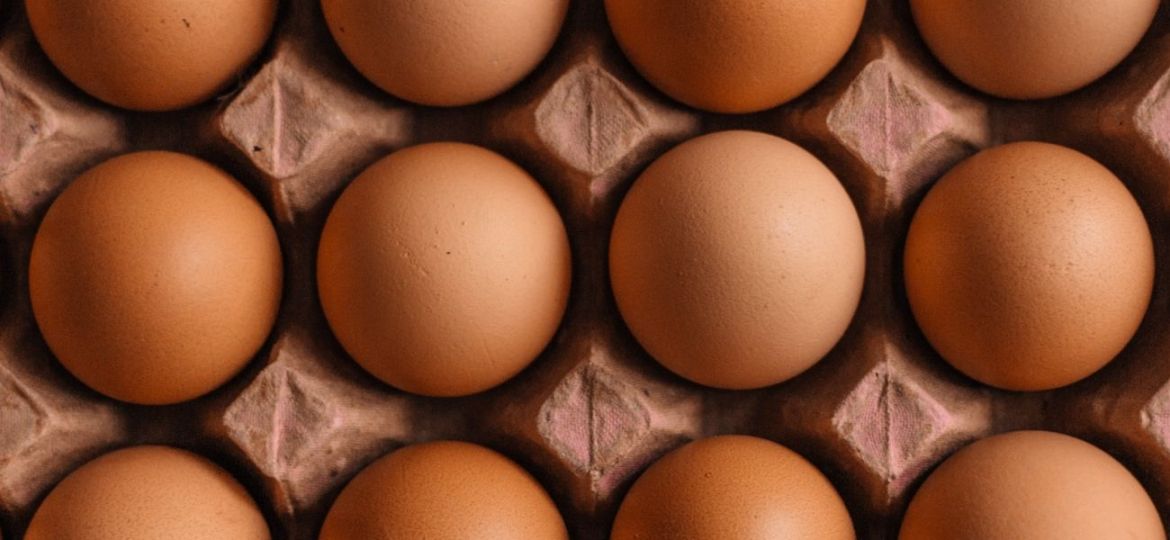 cascas de ovos ajudam nos ossos
